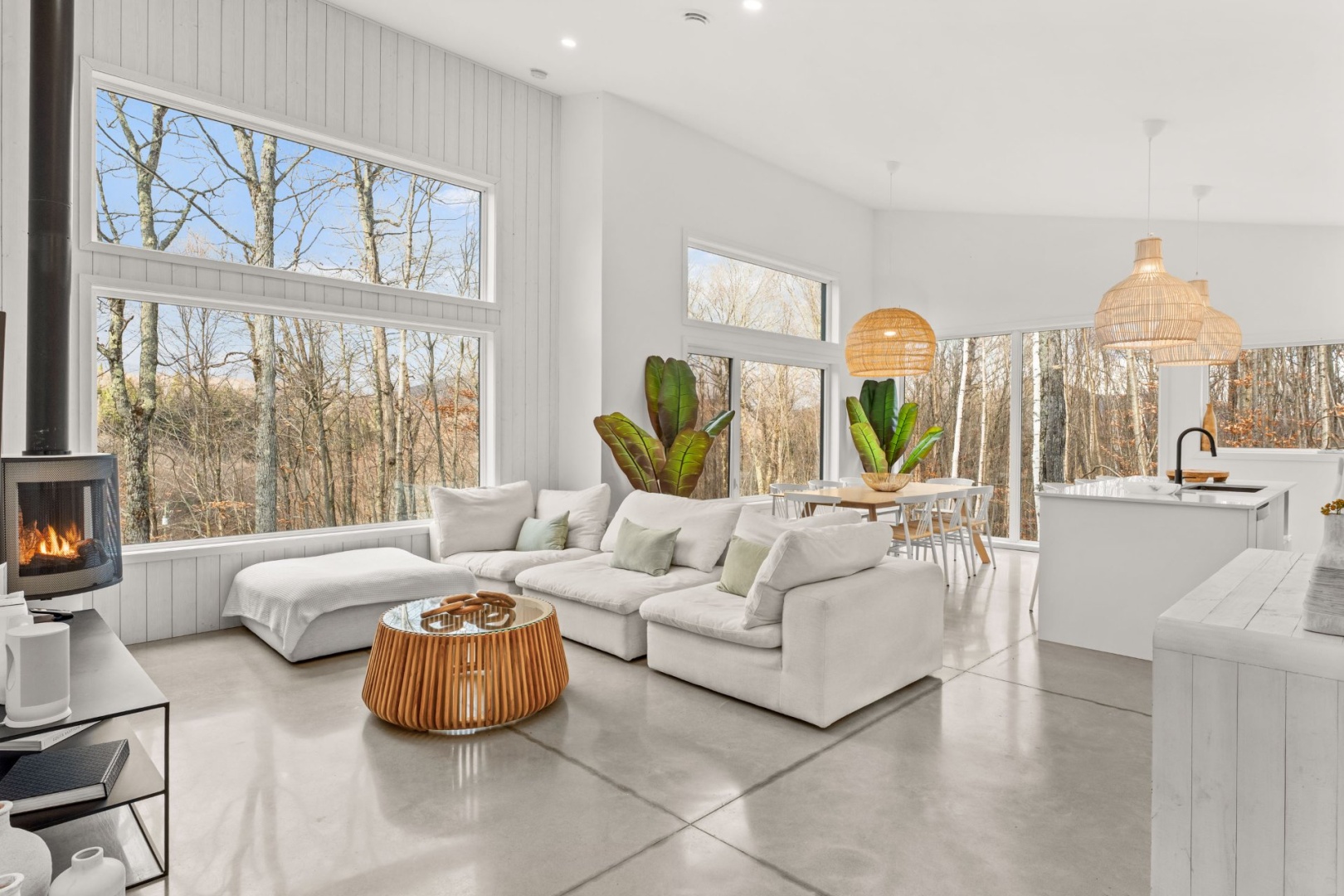 Property 01 living room — fire lit, winter trees through the windows, ready